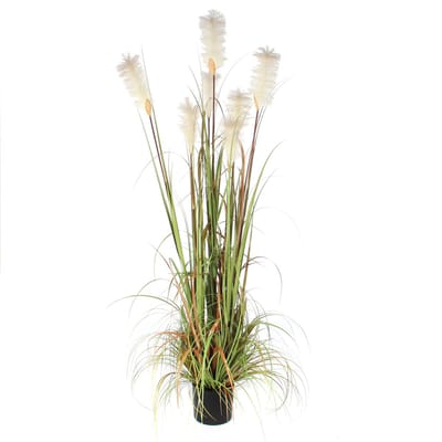 Mica Decorations Pluimgras Foxtail Kunstplant - H180 x Ø80 cm - Groen