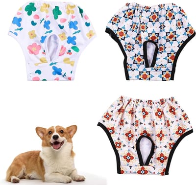 Zachte en Comfortabele Hondenbroekjes, Herbruikbare Menstruatiebroekjes voor Honden, Elastische Band, Ideaal voor Drachtige of In Heat Honden