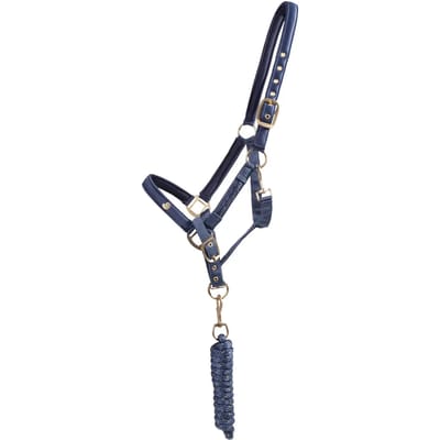 Halster en touwset voor paarden QHP Lily