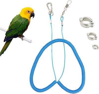 Vliegkoord voor Papegaaien 5 m - Elastisch Touw voor Buiten Training, Vrije Vlucht en Activiteit voor Agapornis en Cockatiels