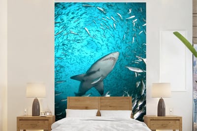 Behang - Fotobehang Een haai tussen de vissen - Breedte 170 cm x hoogte 260 cm