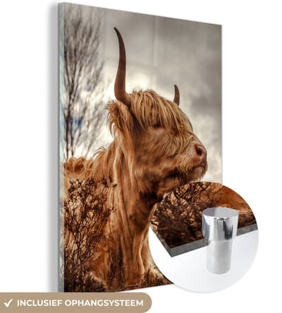 MuchoWow® Glasschilderij 90x120 cm - Schilderij acrylglas - Schotse Hooglander - Struik - Heide - Foto op glas - Schilderijen