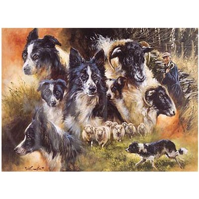 Volledig Rond Boren Mozaïek Border Collie 5D Doe-het-zelf Diamant Schilderen Huisdier Hond Borduurwerk Strass Steentjes 20X30CM black