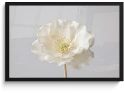 Poster in lijst - Fotolijst 60x40 cm - Posters - Bloem - Minimalistisch -Wit - Posterlijst zwart - Decoratie - Wanddecoratie woonkamer - Muurdecoratie slaapkamer