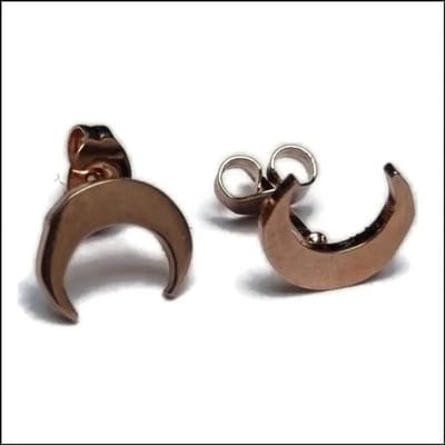 Aramat Jewels | Oorbellen | RVS Maan Oorbellen - Trendy Moon Studs | Rosékleur-10mm | Staal | Kinderen, Volwassenen | Verkleurd niet