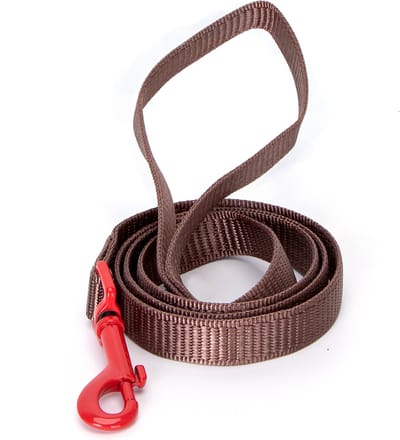 Nobleza Hondenriem bruin - Lengte 120 cm - Leuke riem voor honden - Puppyriem - Uitlaatriem - Maat L - Nylon - Bruin