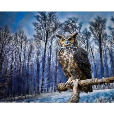 Forest Eagle Diamond borduurwerk uil volledige hars Diamond Picture Diamond schilderij 20X30CM gray