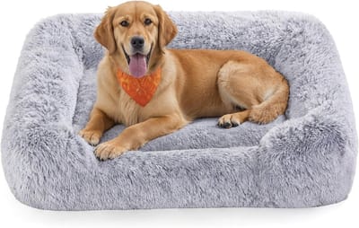 Famanu – Hondenbed 106 x 75 x 20 cm – Ruim Huisdierbed met Zachte Vulling -Opstaande Randen en Wasbare Hoes