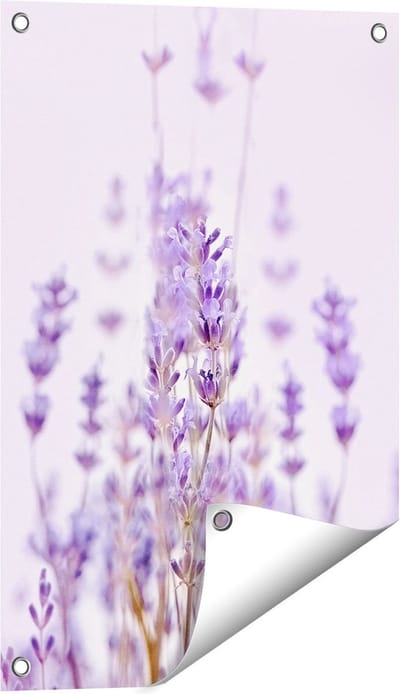 Gards Tuinposter Paarse Lavendel Bloemen - 40x60 cm - Tuindoek - Tuindecoratie - Wanddecoratie buiten - Tuinschilderij