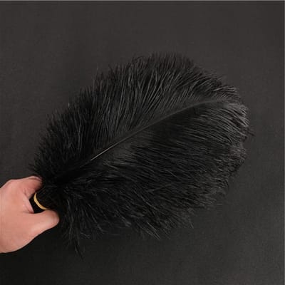 Natuurlijke Struisvogelveren 30-35cm - 10 Stuks voor DIY Projecten, Droomvangers, Feestdecoratie en Modeaccessoires