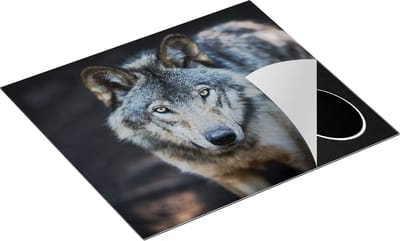 Chefcare Inductie Beschermer Wolvenkop - Grijze Wolf - 60x50 cm - Afdekplaat Inductie - Kookplaat Beschermer - Inductie Mat