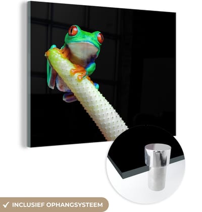 MuchoWow® Glasschilderij 160x120 cm - Schilderij acrylglas - Kikker - Dieren - Plant - Foto op glas - Schilderijen