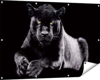 Gards Tuinposter Zwarte Panter - 120x80 cm - Tuindoek - Tuindecoratie - Wanddecoratie buiten - Tuinschilderij