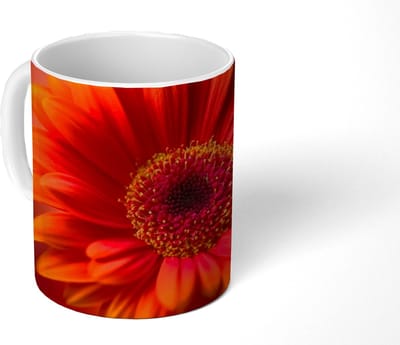 Mok - Koffiemok - Oranje - Gerbera - Intens - Mokken - 350 ML - Beker - Koffiemokken - Theemok