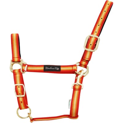 Nylon halster voor paard met leren versterking Umbria Equitazione