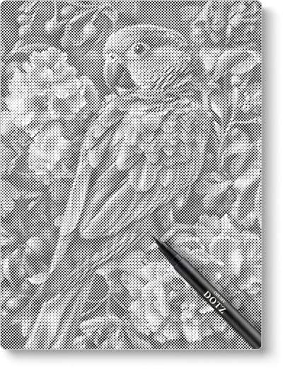 Papegaai In Bloemen | Dot painting | 30x40cm | Dot painting | Oh My Dotz | Dots stippen | Diamond painting & Schilderen op nummer alternatief | Happy hobby