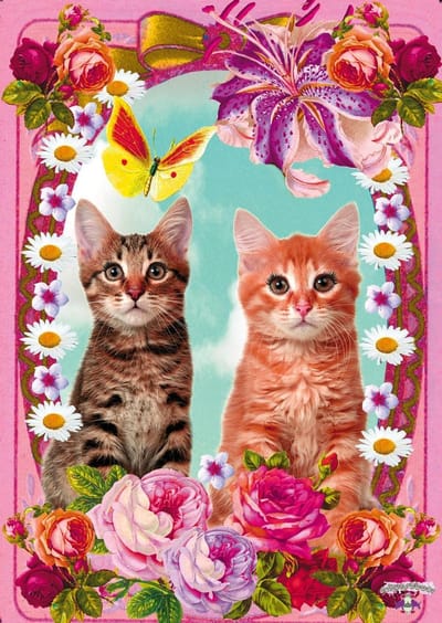 Kunstboer Poster Cats Poezen poster