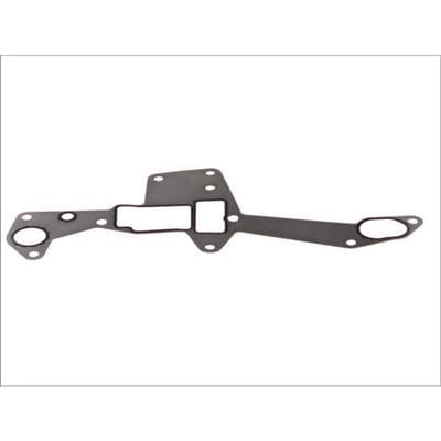 Pakking, oliefilterhuis DT Spare Parts 2.11450