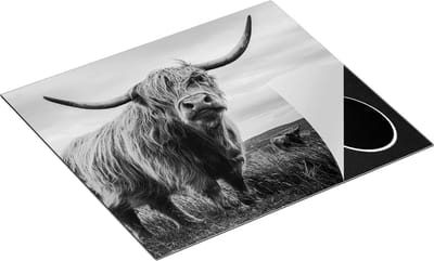 Chefcare Inductie Beschermer Schotse Hooglander Koeien in de Wei - Zwart Wit - 60x50 cm - Afdekplaat Inductie - Kookplaat Beschermer - Inductie Mat