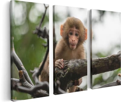Artaza Canvas Schilderij Drieluik Klein Baby Aapje Op Een Tak - 120x80 - Foto Op Canvas - Canvas Print
