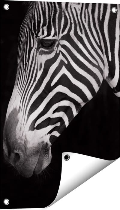 Gards Tuinposter Zebra Kop vanaf de Zijkant - Zwart Wit - 40x60 cm - Tuindoek - Tuindecoratie - Wanddecoratie buiten - Tuinschilderij