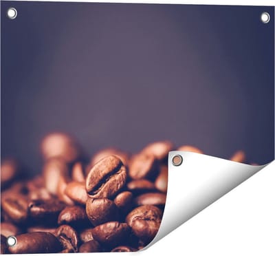 Gards Tuinposter Koffie Bonen op een Zwart Achtergrond - 50x40 cm - Tuindoek - Tuindecoratie - Wanddecoratie buiten - Tuinschilderij