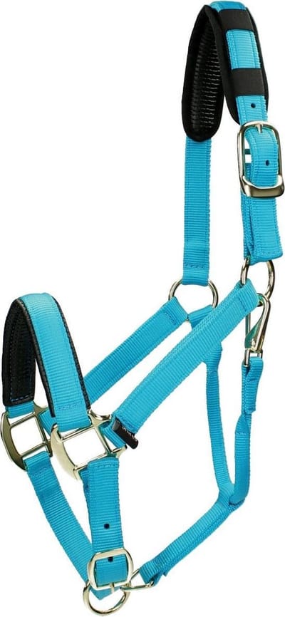 Shires Halster Shires Nylon Topaz Blauw