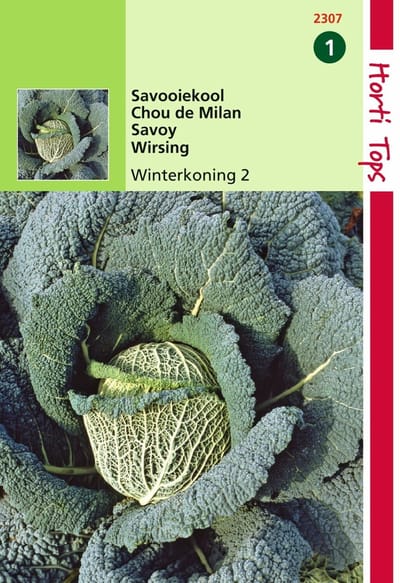 2 stuks - Hortitops - Savooiekool Winterkoning 2