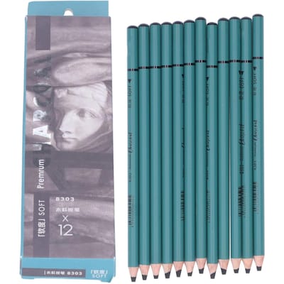 Lot de 12 crayons à fusain flexibles, écriture fluide, faciles à utiliser, fournitures d'art au fusain pour un dessin détaillé