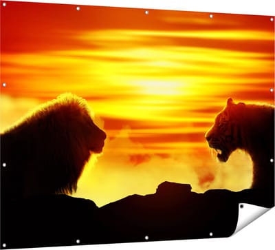 Gards Tuinposter Leeuw en Tijger - Silhouet - Zonsopkomst - 160x120 cm - Tuindoek - Tuindecoratie - Wanddecoratie buiten - Tuinschilderij