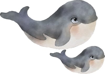 Muursticker grote walvis met baby walvis | Grote muurstickers walvissen: 100x50cm + 55x30cm