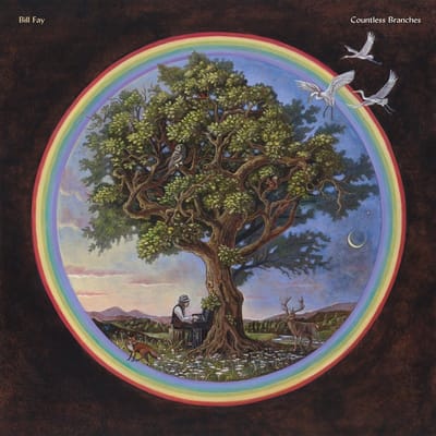 Bill Fay - Countless Branches (LP)