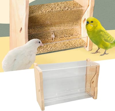 Allecto - Automatische Kip Feeder - Grote Capaciteit - Clear Acryl - Kuiken Vogelvoer Doos - Budgies Valkparkiet Kwartels - Geschikt voor M - Stuk Discharge Control
