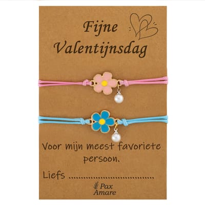 Koppel Armbandjes voor 2 "Fijne Valentijnsdag" - Bloemetjes - Vriendschapsarmbandjes met Persoonlijk Cadeau Kaartje - Blauw & Roze - Elastisch Verstelbaar - Pax Amare