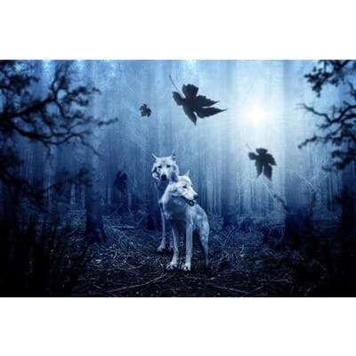 5D Diy Diamond schilderij Wolf diamant borduurwerk dier diamant kruissteek 20X30CM gray