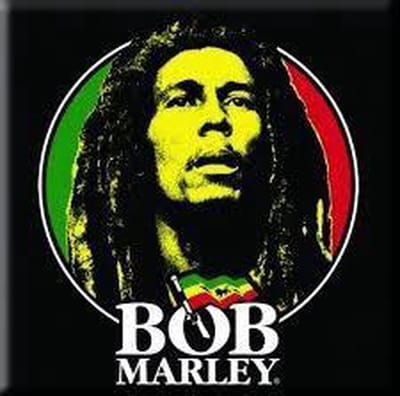 Bob Marley - Logo Face - Koelkast magneet - 7.5 x 7.5 cm