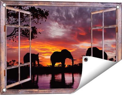 Gards Tuinposter Doorkijk Olifanten tijdens Zonsondergang - Silhouet - 60x40 cm - Tuindoek - Tuindecoratie - Wanddecoratie buiten - Tuinschilderij