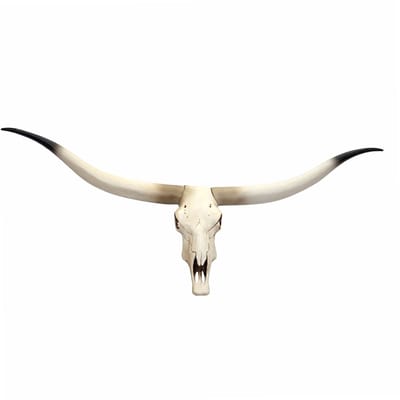 Sierkoeienschedel MCW-D32, stierenkop langhoorn trofee, polyresin 103x43x11cm
