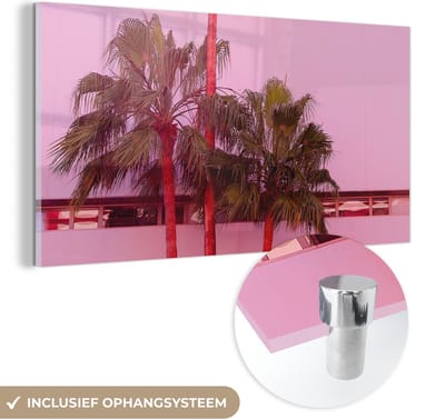 MuchoWow® Glasschilderij 40x20 cm - Schilderij acrylglas - Palm - Tuinposter - Roze - Foto op glas - Schilderijen