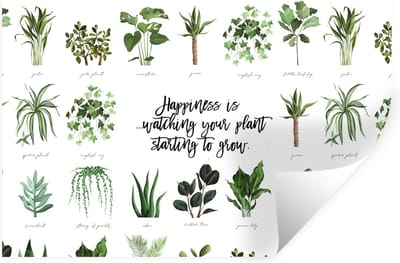 Muurstickers - Sticker Folie - Quotes - Spreuken - Happiness is... watching your plant starting to grow - 30x20 cm - Plakfolie - Muurstickers Kinderkamer - Zelfklevend Behang - Zelfklevend behangpapier - Stickerfolie