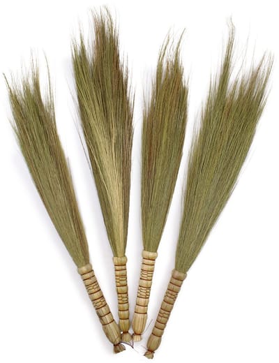 Ancient Wisdom - Droogbloemen - Pampasbezem multicolor 20 cm - decoratie - natuurlijke bloemen - interieur - bloemstuk - droogbloem