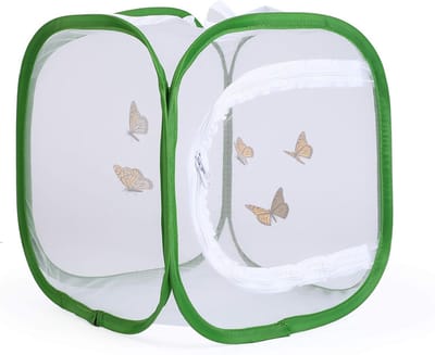 Opvouwbaar Vlinderhabitat Kooi 30x30x30 Cm - Met Uitneembare Opvangbak - Herbruikbaar Mazen Terrarium Voor Rupsen En Insecten - Binnengebruik