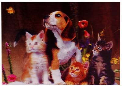 3d poster Hond en kittens