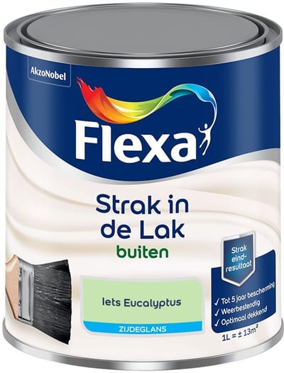 Flexa - Strak In De Lak Buitenlak Zijdeglans - Iets Eucalyptus - Mengverf - 1 L