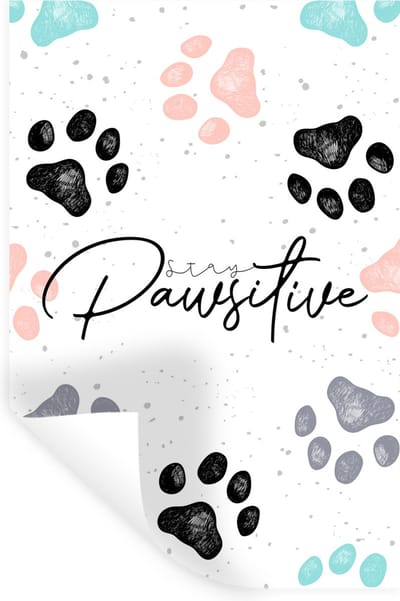 Muurstickers - Sticker Folie - Quotes - Spreuken - Stay pawsitive - Dieren - 20x30 cm - Plakfolie - Muurstickers Kinderkamer - Zelfklevend Behang - Zelfklevend behangpapier - Stickerfolie