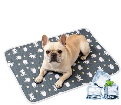 LISM Koelmat voor huisdieren (voor hondenmanden) - Ademend, comfortabel, antislip | Koelmat en kattenmatras, geschikt voor kittens, puppy's en kleine tot middelgrote huisdieren (50*40 cm).
