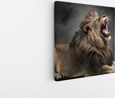 Saammp Canvas Schilderij - Grommende Leeuw - Mist - Dieren - Natuur - 20x20 - Foto op canvas - Wanddecoratie - Muurdecoratie Woonkamer - Slaapkamer decoratie - Canvas Print