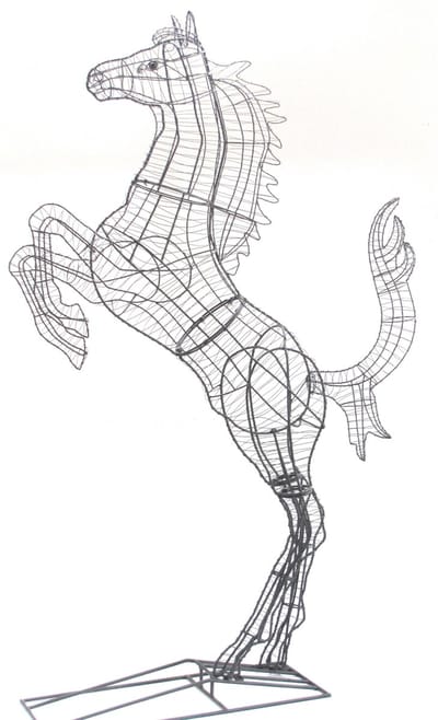 Paard Steigerend - Frame