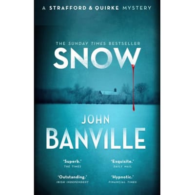 Sneeuw door John Banville Paperback Boek 9780571362707