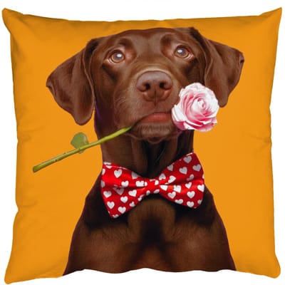 Sierkussens - Kussentjes Woonkamer - 50x50 cm - Hond - Oranje - Roos - Valentijn